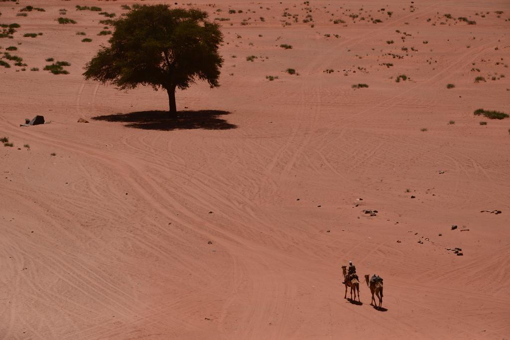 Wadi Rum Sleep Under The Stars Экстерьер фото